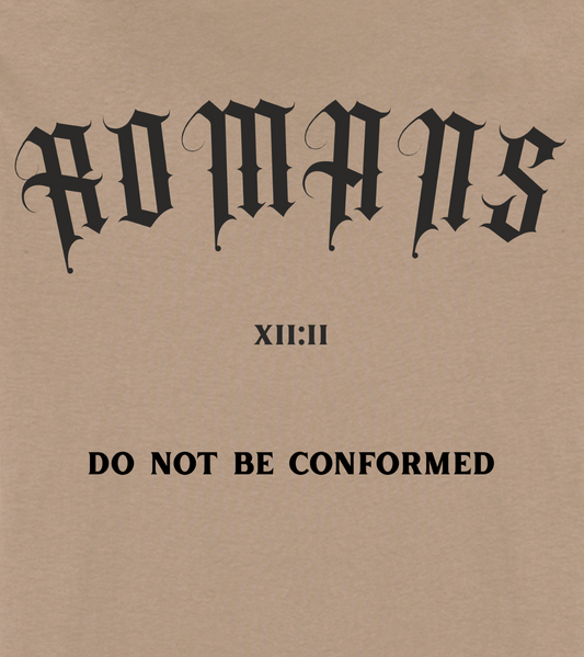 Romans 12:2 T-shirt  - Driftwood