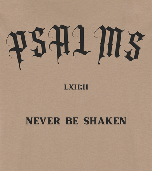 Never Be Shaken T-shirt  - Driftwood