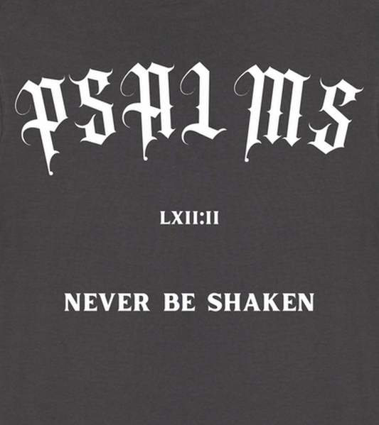 Never Be Shaken T-shirt - Grey