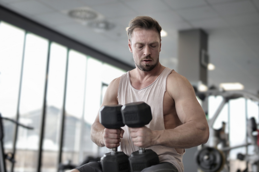 HOW TO BUILD MUSCLE: A Beginners Guide